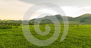 Mountain meadow time-lapse at the summer or autumn sunrise time. Wild nature and rural field. Clouds movement, green