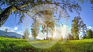 Mountain meadow time-lapse at the summer or autumn time. Wild nature and rural field. Motorised slider dolly movement.