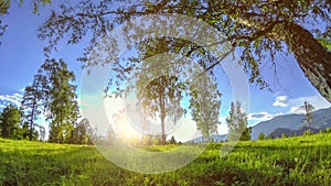 Mountain meadow time-lapse at the summer or autumn time. Wild nature and rural field. Motorised slider dolly movement.