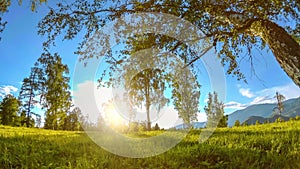 Mountain meadow time-lapse at the summer or autumn time. Wild nature and rural field. Motorised slider dolly movement.