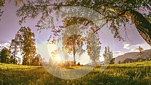 Mountain meadow time-lapse at the summer or autumn time. Wild nature and rural field. Motorised slider dolly movement.