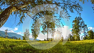 Mountain meadow time-lapse at the summer or autumn time. Wild nature and rural field. Motorised slider dolly movement.