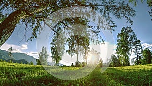 Mountain meadow time-lapse at the summer or autumn time. Wild nature and rural field. Motorised slider dolly movement.