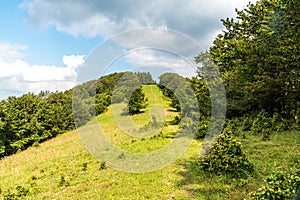 Mountain meadow with trees around and blue sky with clouds in Mala Fatra mountains in Slovakia