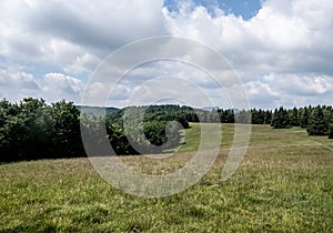 Mountain meadow with trees around and hills on the background in Carpathians