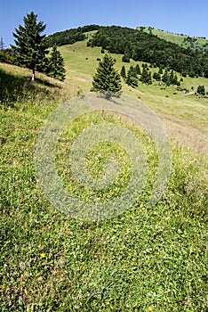 Mountain meadow with trees, hills and clear sky in Mala Fatra mountains in Slovakia