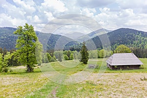 Mountain meadow with wooden herdsman hut in the Carpathian Mountains