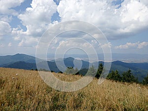 Mountain meadows - Slovakia,