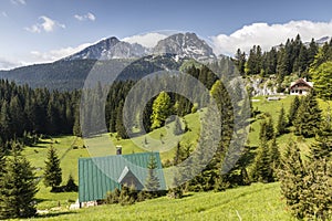 Mountain meadows in Durmitor National Park