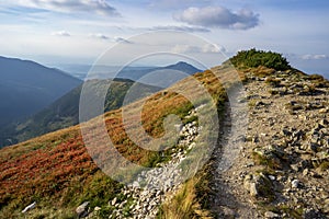 Horské lúky v Západných Tatrách. Slovensko