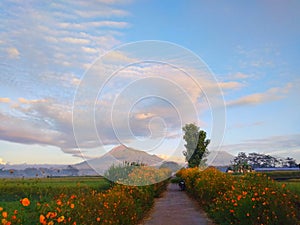 Mountain Merapi & Mountain Merbabu