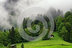 Mountain and Mist landscape in Swiss