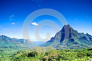 Mountain in Moorea photo