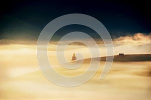 Mountain mystical minimalistic landscape in the early morning fog. A lonely spruce and a rural house