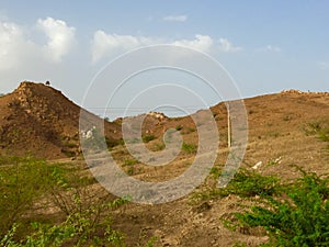Mountain and natural background greentree