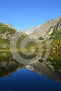 Mountain nature blue sky green park wood clouds lake reflex nice