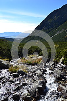 Mountain nature blue sky green park wood clouds lake reflex nice