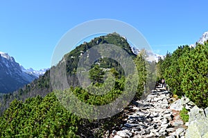 Mountain nature green wood clouds