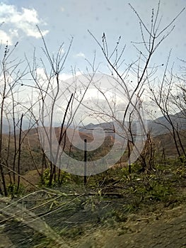 Mountain Nature vegetation Venezuela Maracay