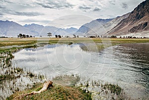 Mountain in the Nubra river Valley, Hunder, India