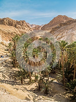 Mountain oasis Chebika in Sahara desert, Tunisia