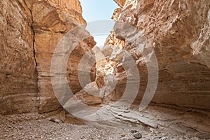 Mountain oasis Tamerza in Tunisia 4