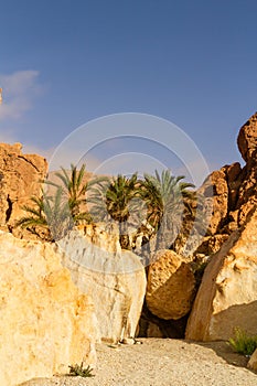 Mountain oasis. Tunisia Africa,