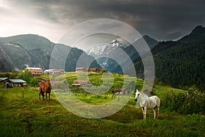 Mountain Omalo village in Tusheti nature reserve. Georgia