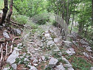 Mountain Orjen Montenegro forest scenery and hiking trail