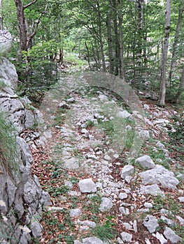 Mountain Orjen Montenegro hiking path to the mountain top photo