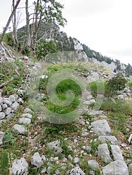 Mountain Orjen Montenegro hiking path to the mountain top photo