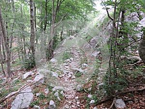 Mountain Orjen Montenegro old hiking trail remain built by Austrohungarian army photo