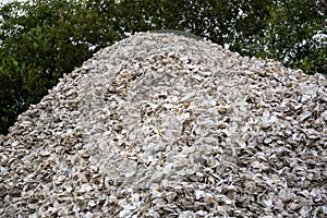 A mountain of oysters shells outside a fish shack in the Oregon Coast