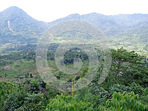 Photo Mountain Pancar, West Java Indonesia