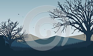 Mountain panorama with aesthetically dry tree silhouettes from the countryside at sunrise in the morning. Vector