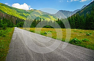 Mountain panorama with green hills and road leading to distance