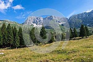 Mountain panorama of the Montasio plateau, Italy.