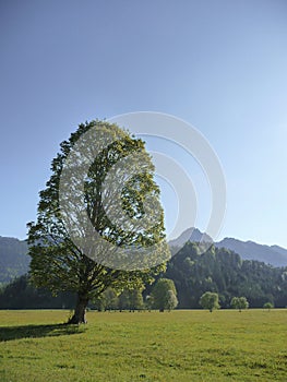 Mountain panorama from Rotwand mountain, Bavaria, Germany