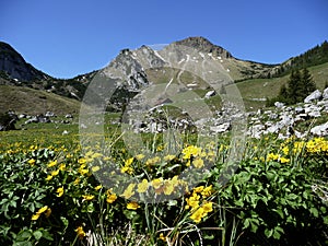 Mountain panorama from Rotwand mountain, Bavaria, Germany