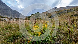 Horské panorama z vrcholu Baníkov ve slovenských Tatrách mo