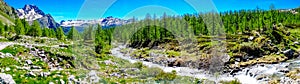 mountain panorama with torrent full of water in summer Alpe Devero photo