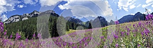 Mountain panorama from the valley