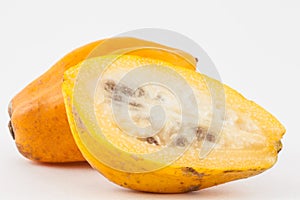 Mountain papaya Vasconcellea pubescens