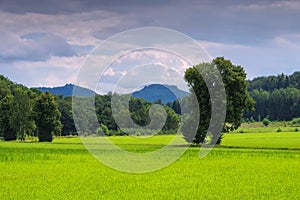 Mountain Papststein in Saxon Switzerland