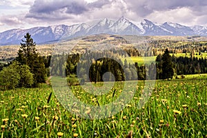 Mountain in park slovakia High Tatras