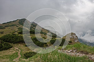 Horský průsmyk Bublen, cesta na Malý Kriváň, národní park Malá Fatra, Slovensko, na jaře zataženo