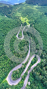 Mountain pass in green forest