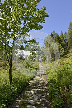 Mountain pass of Montets