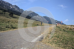 Mountain pass and sheeps