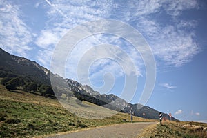 Mountain pass and sheeps